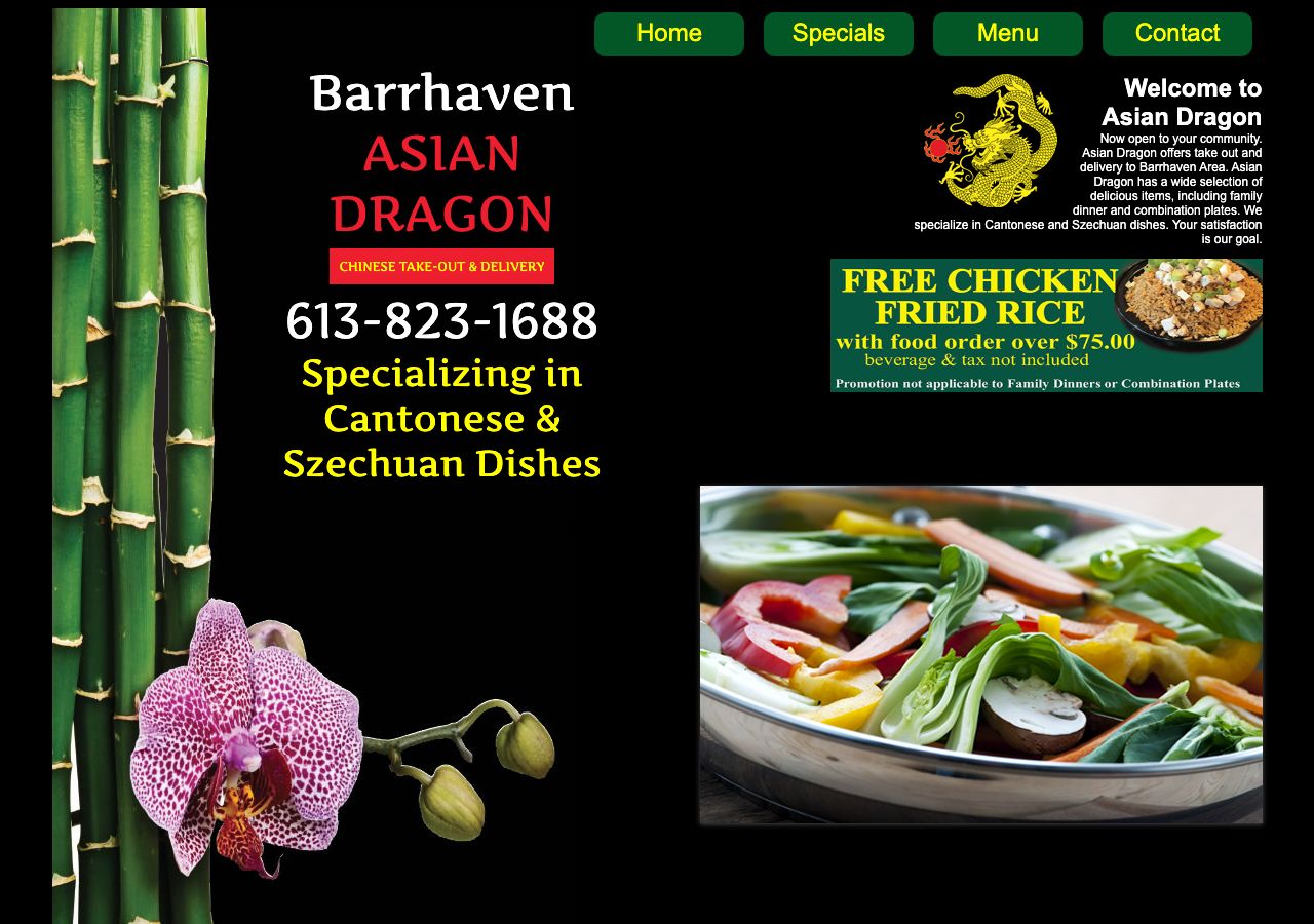 Homepage of Asian Dragon Chinese Takeout & Delivery
