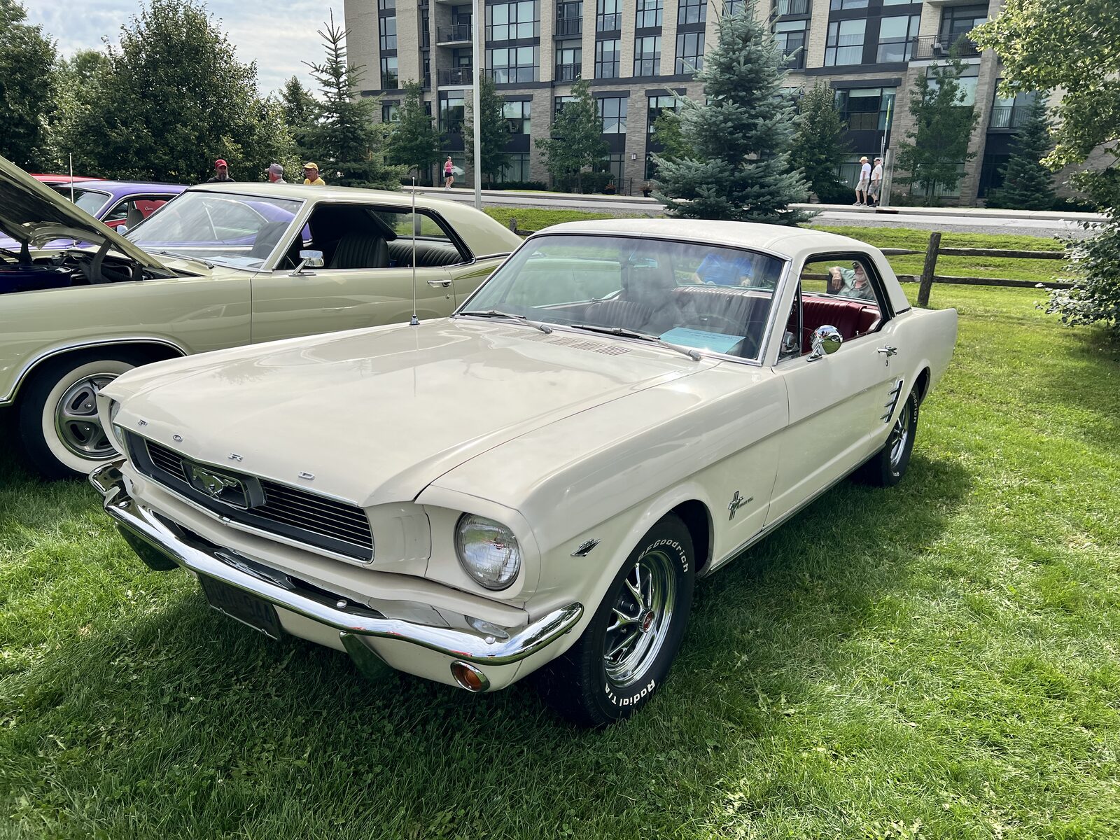 A cream 1966 Ford Mustang hardtop with a red interior, parked on grass beside a pale green convertible.