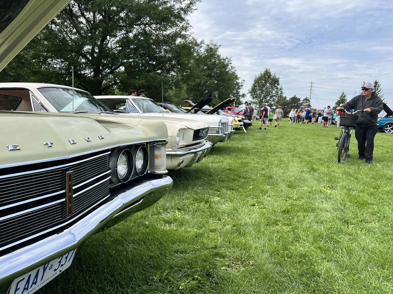 A long row of classic cars seen down the line of their front bumpers, with visitors walking the field behind them.